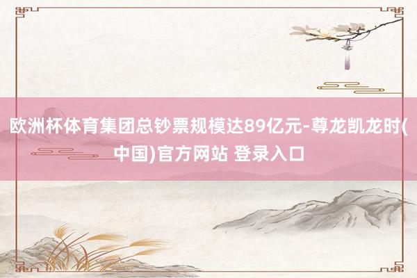 欧洲杯体育集团总钞票规模达89亿元-尊龙凯龙时(中国)官方网站 登录入口