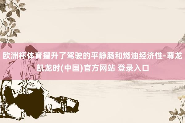 欧洲杯体育擢升了驾驶的平静肠和燃油经济性-尊龙凯龙时(中国)官方网站 登录入口