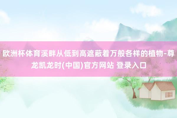 欧洲杯体育溪畔从低到高遮蔽着万般各样的植物-尊龙凯龙时(中国)官方网站 登录入口
