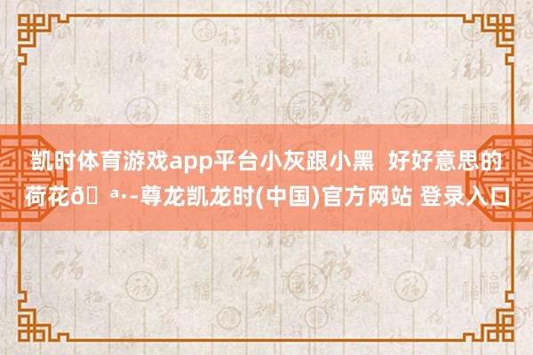 凯时体育游戏app平台小灰跟小黑  好好意思的荷花🪷-尊龙凯龙时(中国)官方网站 登录入口