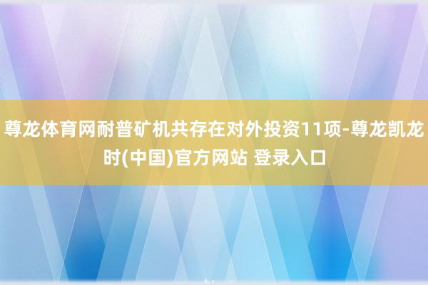 尊龙体育网耐普矿机共存在对外投资11项-尊龙凯龙时(中国)官方网站 登录入口