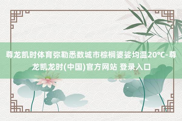 尊龙凯时体育弥勒悉数城市棕榈婆娑均温20℃-尊龙凯龙时(中国)官方网站 登录入口