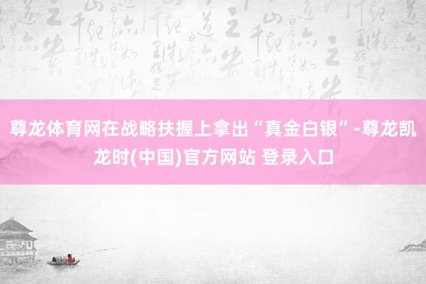 尊龙体育网在战略扶握上拿出“真金白银”-尊龙凯龙时(中国)官方网站 登录入口